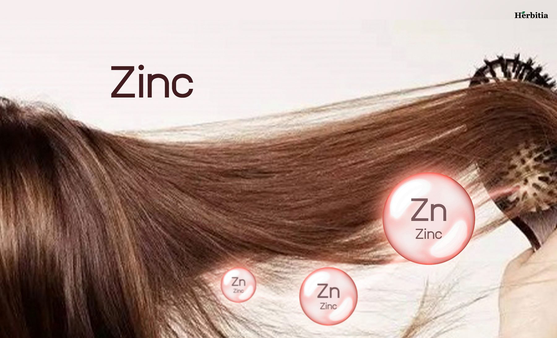 zinc : ป้องกันผมขาดหลุดร่วง แก้ปัญหาผมบาง