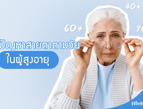 ปัญหาสายตาตามวัย ในผู้สูงอายุ
