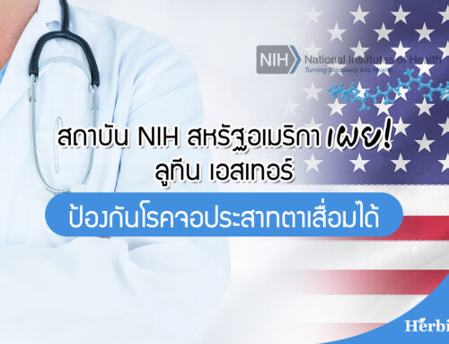 สารอาหารบำรุงดวงตาแก้จอประสาทตาเสื่อม! แนะนำโดยสถาบัน NIH สหรัฐอเมริกา