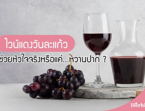 ไวน์แดงวันละแก้ว ช่วยหัวใจจริงหรือแค่หวานปาก ?