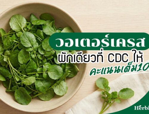 “วอเตอร์เครส” ผักเดียวที่ CDC ให้คะแนนเต็ม 100