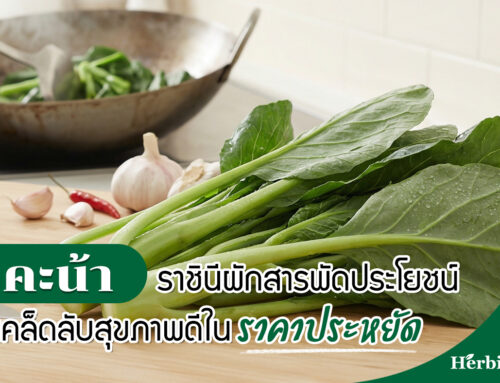 คะน้า ราชินีผักสารพัดประโยชน์ เคล็ดลับสุขภาพดีในราคาประหยัด