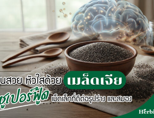 หุ่นสวย หัวใสด้วย เมล็ดเจีย ซูเปอร์ฟู้ดเม็ดเล็กที่ดีต่อรูปร่าง และสมอง