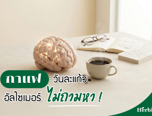 กาแฟวันละแก้ว อัลไซเมอร์ไม่ถามหา